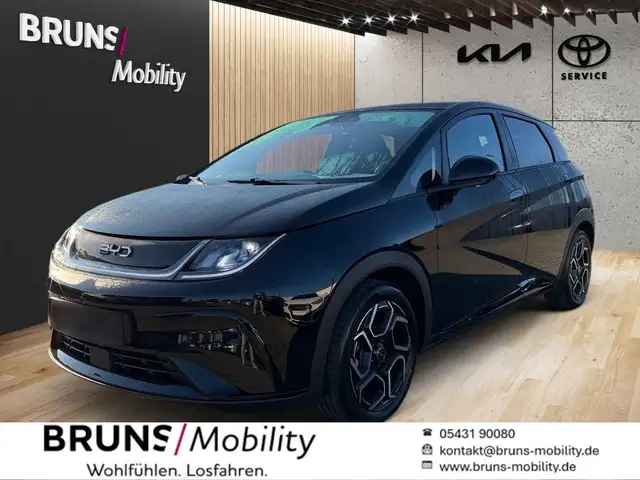 BYD Tang DOLPHIN Design