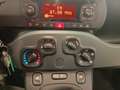 Fiat Panda Panda 1.0 FireFly S&S Hybrid Grijs - thumbnail 14