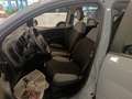 Fiat Panda Panda 1.0 FireFly S&S Hybrid Grijs - thumbnail 7