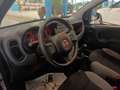 Fiat Panda Panda 1.0 FireFly S&S Hybrid Grijs - thumbnail 10
