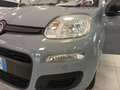Fiat Panda Panda 1.0 FireFly S&S Hybrid Grijs - thumbnail 17