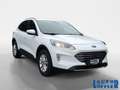 Ford Kuga PHEV Titanium NAVI^ SHZ^ RFK^ KLIMA^ PDC^ Klima Blanc - thumbnail 7