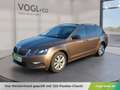 Skoda Octavia Kombi 1,6TDI Ambition Braun - thumbnail 1