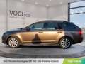 Skoda Octavia Kombi 1,6TDI Ambition Braun - thumbnail 2