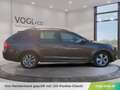 Skoda Octavia Kombi 1,6TDI Ambition Braun - thumbnail 8