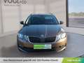 Skoda Octavia Kombi 1,6TDI Ambition Braun - thumbnail 6