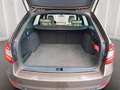 Skoda Octavia 1.5 TGI G-TEC Style DSG,MFLR,SHZ*58 Braun - thumbnail 6