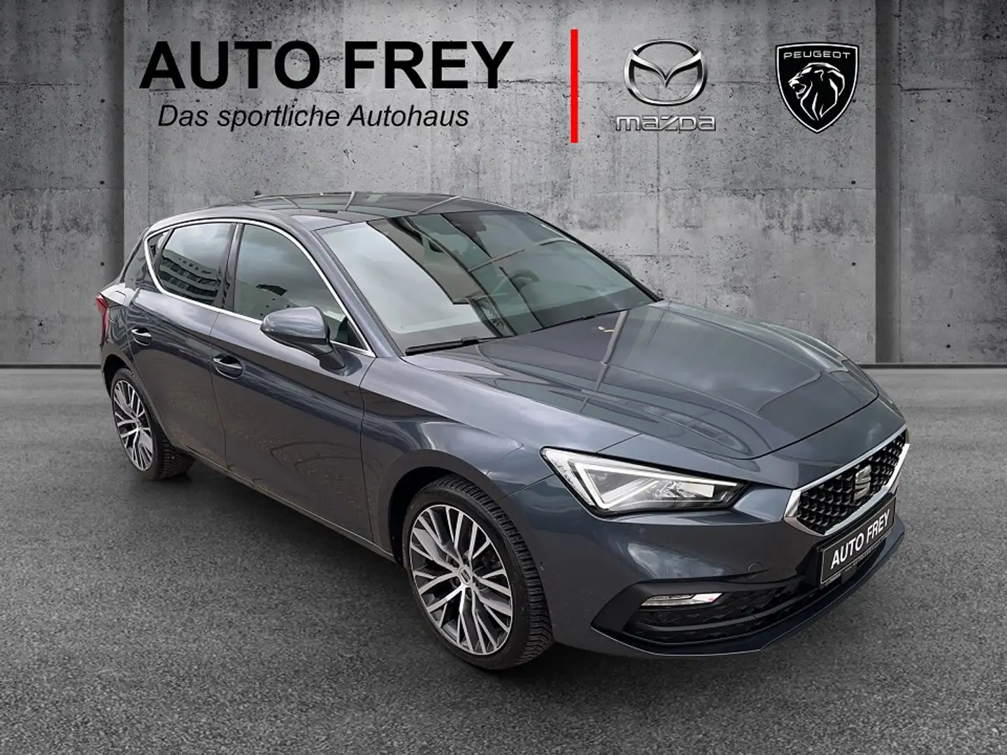 SEAT Leon 150PS DSG Xcellene AHK+KAMERA+ALLWETTERREIFEN Gris - 1