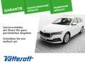 Skoda Octavia Combi 2.0 TDI STYLE Navi AHK Wit - thumbnail 1