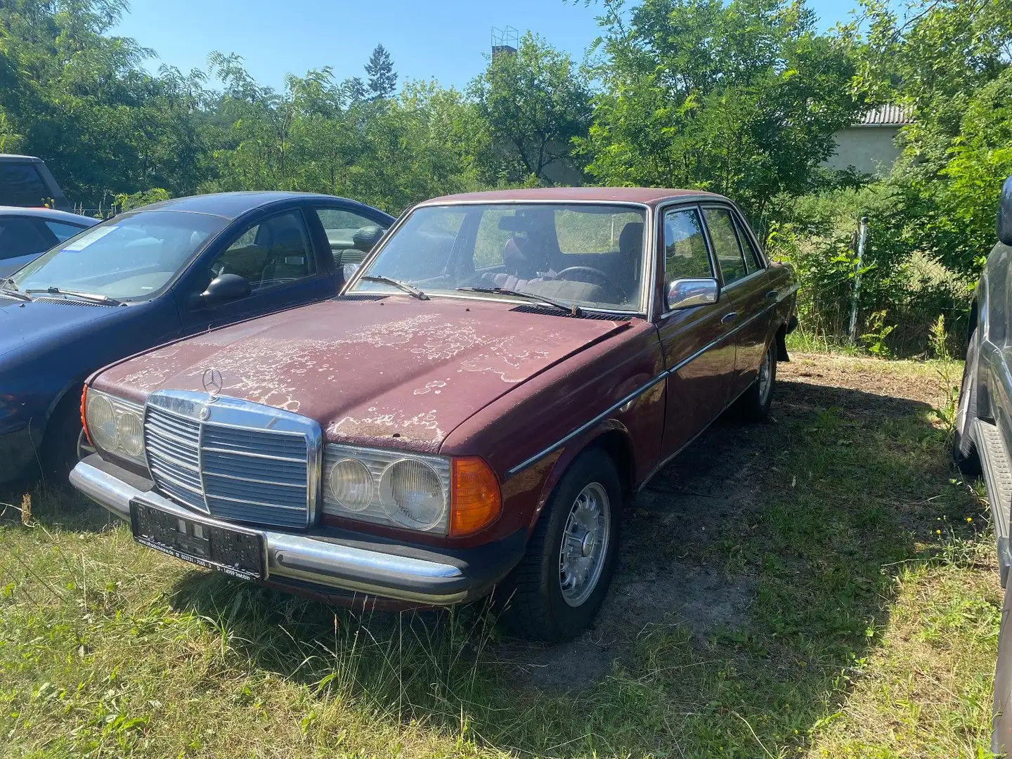 Mercedes-Benz 240 D W123 Rojo - 1