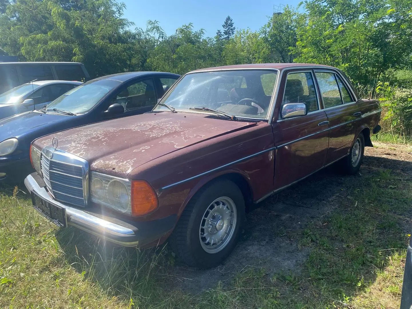 Mercedes-Benz 240 D W123 Rojo - 2