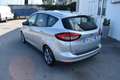 Ford C-Max C-Max 1.5 Ecoblue Business - 2018 Argento - thumbnail 6