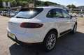 Porsche Macan 2.0 Pure White Bianco - thumbnail 3