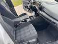 Volkswagen Golf GTE eHybrid 1.4 DSG AHK IQ Light 18 Zoll ACC Navi Weiß - thumbnail 10