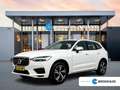 Volvo XC60 T8 Recharge R-Design | 19" | Panoramadak | Head-up Weiß - thumbnail 1