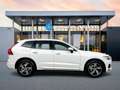 Volvo XC60 T8 Recharge R-Design | 19" | Panoramadak | Head-up Weiß - thumbnail 7