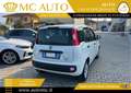 Fiat Panda 1.0 FireFly S&S Hybrid PROMO CON FINANZIAMENTO Bianco - thumbnail 6