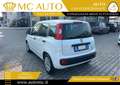 Fiat Panda 1.0 FireFly S&S Hybrid PROMO CON FINANZIAMENTO Bianco - thumbnail 4