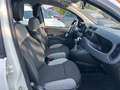 Fiat Panda 1.0 FireFly S&S Hybrid PROMO CON FINANZIAMENTO Bianco - thumbnail 9
