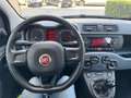 Fiat Panda 1.0 FireFly Hybrid 70cv MT6 Easy - 5 posti Grijs - thumbnail 10