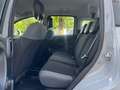 Fiat Panda 1.0 FireFly Hybrid 70cv MT6 Easy - 5 posti Grijs - thumbnail 9