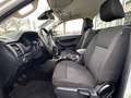 Ford Ranger Off-Road-Paket 4x4 XL,MOTORSCHADEN Blanco - thumbnail 13