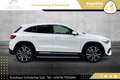 Mercedes-Benz GLA 250 e // AMG-PAKET // PANO // AHK // 360G-KAMERA // Weiß - thumbnail 16