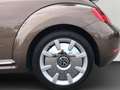 Volkswagen Beetle Cabrio 1.4 TSI 70s Design 1.Hd/unfallfrei Brun - thumbnail 10