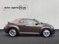 Volkswagen Beetle Cabrio 1.4 TSI 70s Design 1.Hd/unfallfrei Barna - thumbnail 7