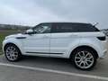 Land Rover Range Rover Evoque TD2.2 Aut. Pure - thumbnail 2