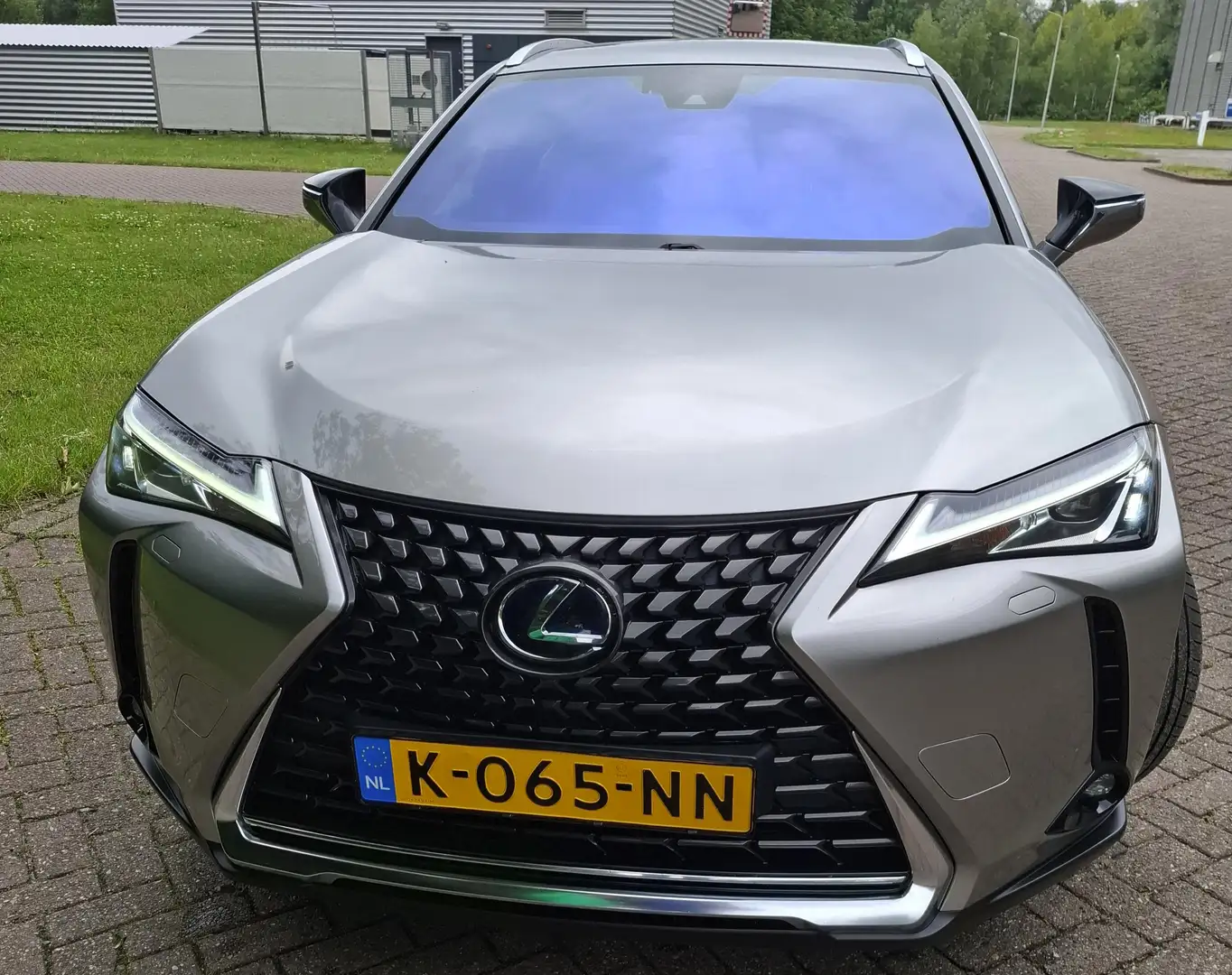 Lexus UX 250h Executive Line Grijs - 1