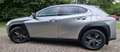 Lexus UX 250h Executive Line Grijs - thumbnail 3