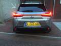 Lexus UX 250h Executive Line Grijs - thumbnail 6