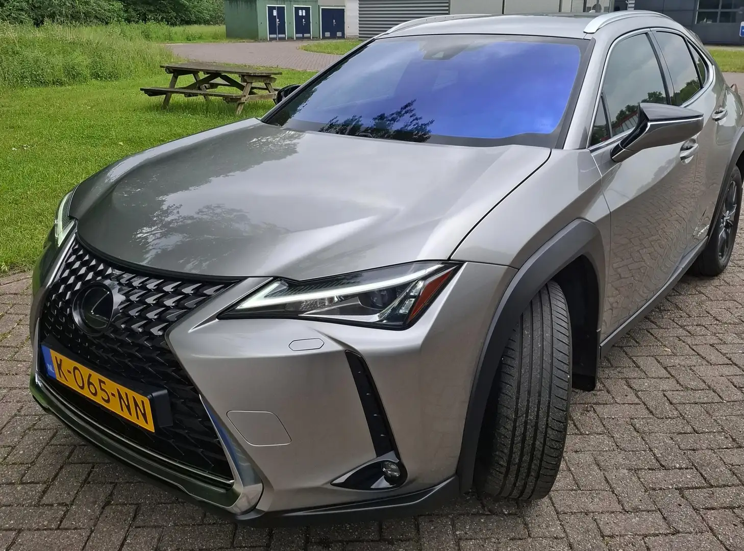 Lexus UX 250h Executive Line Grijs - 2