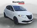 Lancia Ypsilon Ypsilon 1.2 69 CV 5 porte Elefantino Bianco - thumbnail 3