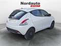 Lancia Ypsilon Ypsilon 1.2 69 CV 5 porte Elefantino Bianco - thumbnail 7