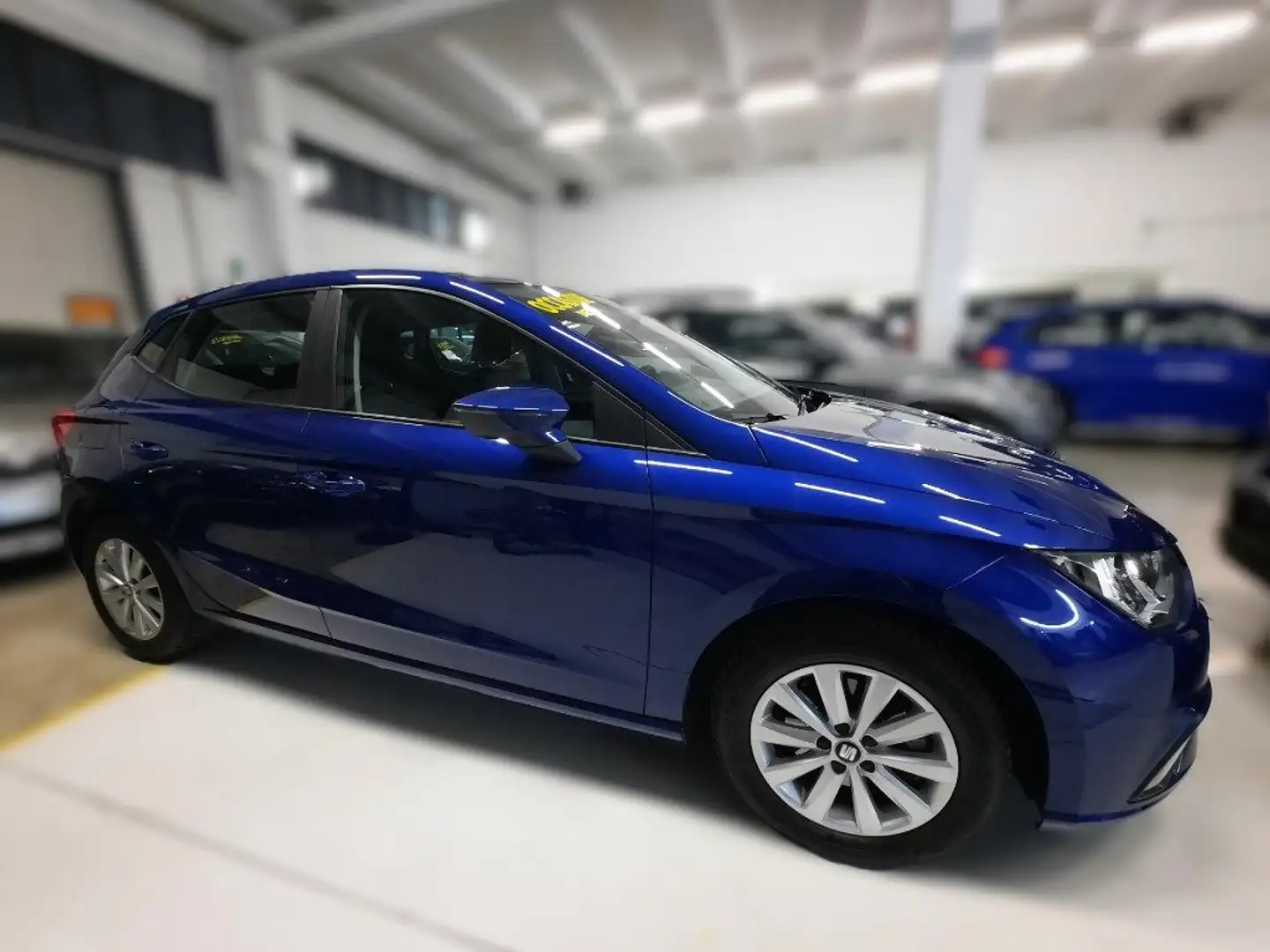 SEAT Ibiza 1.6 TDI 95 CV 5 porte Business Blu/Azzurro - 2
