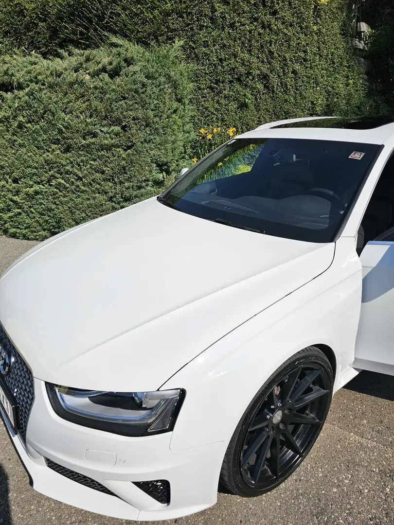 Audi RS4 Avant 4,2 FSI quattro S-tronic Weiß - 1