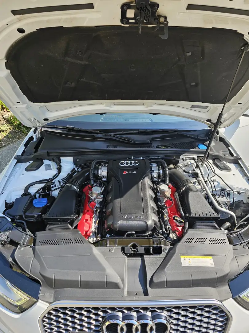 Audi RS4 Avant 4,2 FSI quattro S-tronic Weiß - 2
