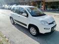 Fiat Panda 1.2 LOUNGE  5 POSTI *ok neopatentati* euro 6B Blanco - thumbnail 6
