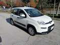 Fiat Panda 1.2 LOUNGE  5 POSTI *ok neopatentati* euro 6B Blanco - thumbnail 4