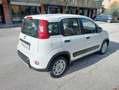 Fiat Panda 1.2 LOUNGE  5 POSTI *ok neopatentati* euro 6B Blanco - thumbnail 5