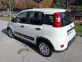 Fiat Panda 1.2 LOUNGE  5 POSTI *ok neopatentati* euro 6B Blanco - thumbnail 7