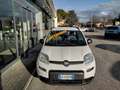 Fiat Panda 1.0 FireFly S&S Hybrid City Life Bianco - thumbnail 3