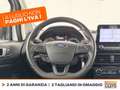 Ford EcoSport 1.0 ecoboost st-line s&s 125cv my20.25 Bianco - thumbnail 19