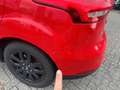 Ford Focus Enkel voor professionele verkoop Rot - thumbnail 5