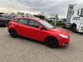 Ford Focus Enkel voor professionele verkoop Rot - thumbnail 10
