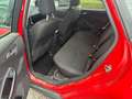 Ford Focus Enkel voor professionele verkoop Rot - thumbnail 4