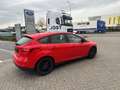 Ford Focus Enkel voor professionele verkoop Rot - thumbnail 8