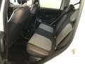 Fiat Panda TwinAir Cross 4x4 (( gancio traino )) da € 297 Bianco - thumbnail 10